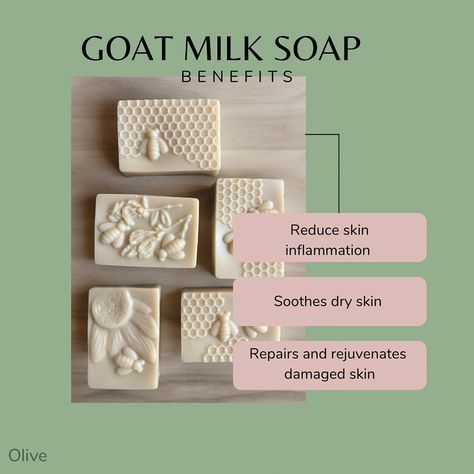 Check out our Goat milk soap benefits. #onlinebusiness #smallbusiness Goat Milk Soap Benefits, Soap Benefits, Goat Milk Soap, Milk Soap, Goat Milk, Damaged Skin, Dry Skin, Goats, Online Business