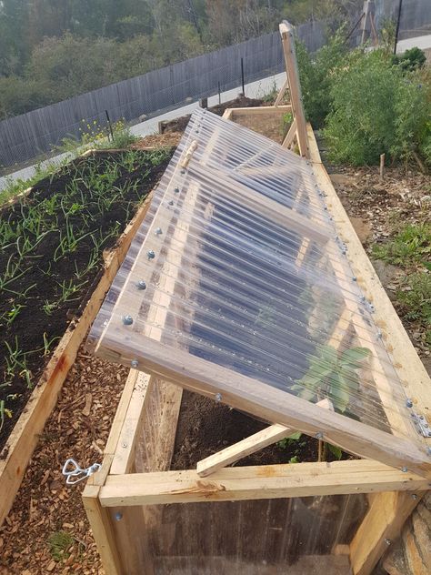 Cold Frame Gardening | Good Life Permaculture Outdoor Greenhouse Ideas, Greenhouse Floor Ideas, Greenhouses Ideas, Studio Greenhouse, Greenhouse Winter, Greenhouse Floor, Greenhouse Interior, Modern Greenhouse, Root Cellars