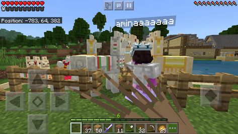 Llama Farm, Baseball Field, Llama, Minecraft