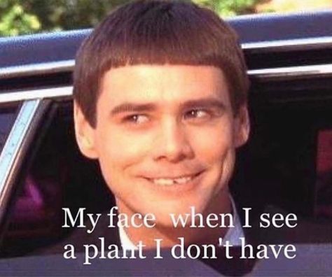 Plant Humor, Plant Jokes, Gardening Memes, Gardening Humor, Plant Mama, Running Humor, Crazy Plant Lady, My Face When, Garden Quotes