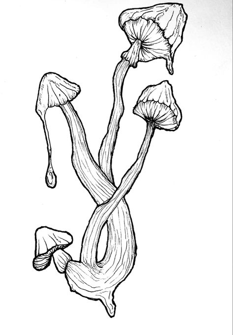 Mushroom Tattoo, Amsterdam Tattoo, Mushroom Tattoos, Tattoo Illustration, Ankle Tattoo, Tatting, Tattoo Ideas, Tattoo Designs, Stuffed Mushrooms