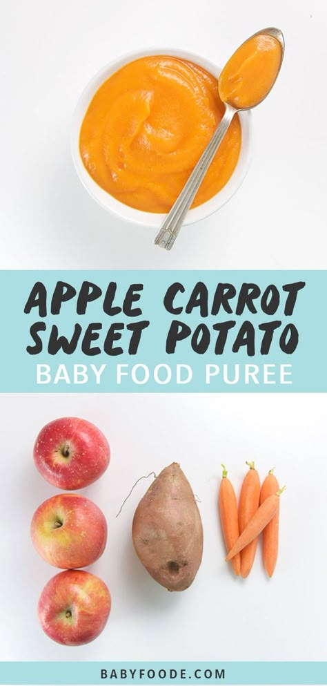 This Apple, Sweet Potato + Carrot Baby Food Puree is a fun and vibrant meal for baby. Made with 3-ingredients in less than 15 minutes! Great for 6+ month puree - Stage 2 baby food. #babyfood #puree #apple #stage2 Carrot Baby Food, Homemade Baby Food Storage, Baby Spinach Recipes, Apple Sweet Potato, Apple Baby Food, Sweet Potato Baby Food, Carrot Baby, Stage 2 Baby Food, Sweet Potato Carrot