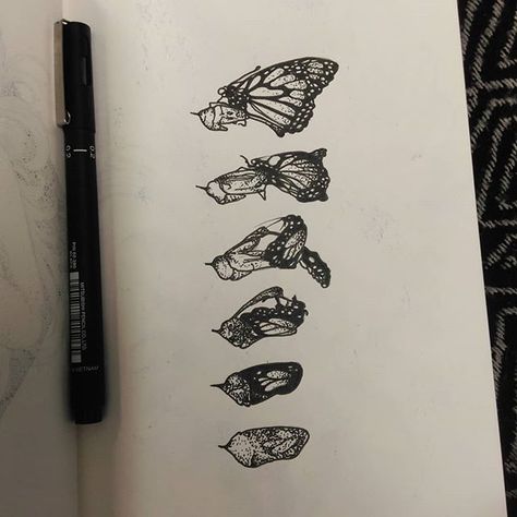 Metamorphosis Tattoo, Butterfly Cocoon, Metamorphosis Art, Butterfly Meaning, Butterfly Metamorphosis, Butterfly Chrysalis, Tattoo Test, Worship Art, Doodle Paint