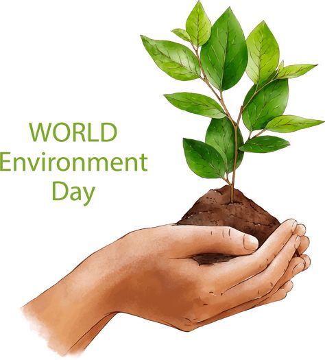 Happy Environment Day, Hospital Environment, Happy World Environment Day, Happy Environment, Action Books, Save Environment, World Environment Day, Environment Day, Interview Preparation