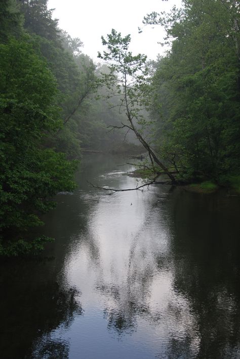 Clear Fork of the Mohican River, Mohican State Park, Ohio Ohio Aesthetic, Ohio Mountains, Mohican State Park Ohio, Falls Of The Ohio State Park, Ohio Beaches, Ohio Is For Lovers, Ohio State Parks, Misty Dawn, Blue Skye