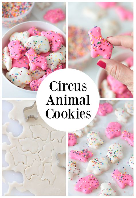 Homemade Circus Animal Cookies Circus Cookies Recipes, Homemade Circus Animal Cookies, Homemade Animal Cookies, Frosted Circus Animal Cookies, Circus Animal Cookie Birthday Party, Circus Animal Cookies Recipes, Circus Animal Cookie Party, Animal Cookie Recipes, Iced Animal Cookies