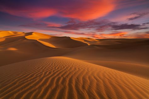 The Sahara Desert is the largest hot desert and one of the harshest environments in the world. Desert Biome, Art Environment, Desert Sahara, Video Backdrops, Deserts Of The World, Hot Desert, Desert Photography, Desert Tour, Wuxi