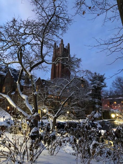 Wellesley College Aesthetic, Wellesley College, Liberal Arts College, Liberal Arts, College Aesthetic, Boarding School, Freshman Year, The Secret History, Good Vibes Only