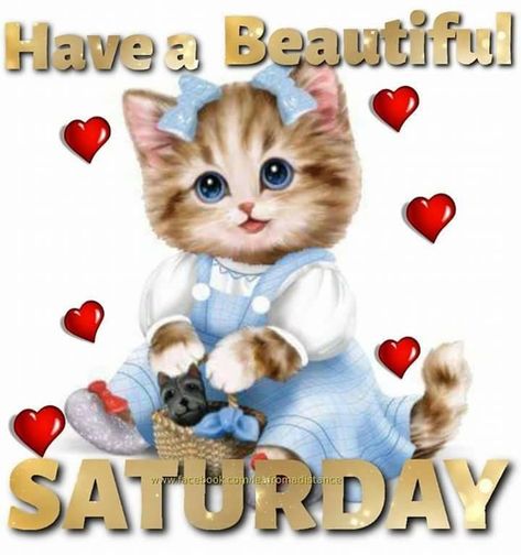 Kitty Beautiful Saturday saturday saturday quotes happy saturday beautiful saturday saturday image quotes saturday quotes and sayings saturday wishes Saturday Quotes Funny, Good Morning Saturday Wishes, Happy Saturday Pictures, Happy Saturday Quotes, Saturday Pictures, Happy Saturday Morning, Happy Saturday Images, Saturday Greetings, Good Morning Christmas