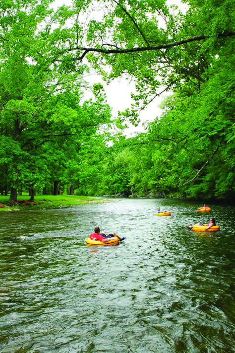 Travel | Tennessee | USA | Adventure | River Tubing | Rafting | Outdoor | Attractions Wilderness At The Smokies, Tennessee Waterfalls, Nifty 50, River Rat, Tennessee Travel, Stunning Scenery, Tennessee Vacation, Tennessee River, Hiking Destinations