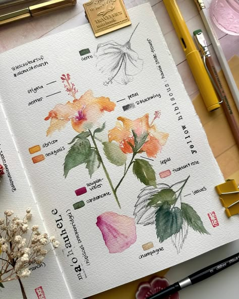 💛🧡My take on the Ma’o ahu hele for week 2 of the #aloha24march challenge. I’ve been really loving painting these #botanicalart pages and… | Instagram Flowers Pen Drawing, Loving Painting, Watercolour Pencil Art, Watercolour Challenge, Botanical Journal, Painting Journal, Botanical Sketchbook, Lotus Flower Art, Watercolor Journal