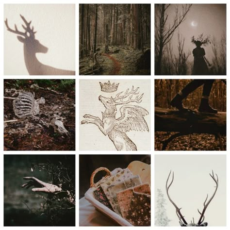 Deer Moodboard, Mood Boards Color, Character Moodboard, Adopt Idea, Moodboard Inspo, Moodboard Ideas, Moodboard Aesthetic, Magic Aesthetic, Mood Board Inspiration