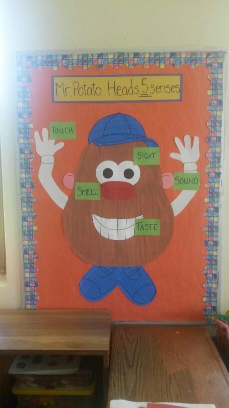 Senses Display Eyfs, 5 Senses Classroom Display, Preschool Sense Of Touch, My Five Senses Bulletin Board, Five Senses Decoration Classroom, 5 Senses Bulletin Board Preschool, 5 Senses Decorations, Five Senses Bulletin Board Preschool, Senses Bulletin Board Ideas