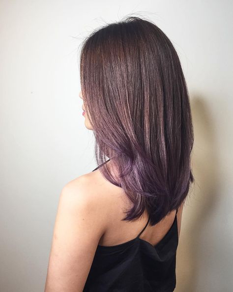 Mixed purplish brown ********** CLEO hair international call here 63385250 for book appointment Hair done by @takuyaxtakuya #hair… Brunettes Babylights, Dark Hair Purple Highlights, Brown Hair Spring, Tip Dyed Hair, Dark Hair Purple, Hair Purple Highlights, Balayage Purple, Summer Hair 2023, Khaleesi Hair