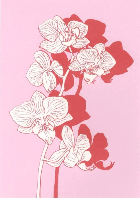 Orchid on Pink Screenprint by Louise Boulton | Artfinder Screen Printing Flowers, Screen Print Flowers, Orchid Graphic Design, Orchids Illustration, Screenprint Illustration, Tiki Backyard, Lisa Outfit, Midnight Flowers, Singapore Tattoo