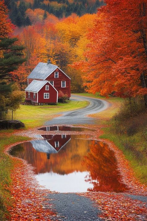 Admire the Fall Foliage in New England, USA🍁 Autumn in New England is famous for its stunning fall foliage. Drive through scenic routes and visit charming towns to see the vibrant colors. 🌿🍂 #FallFoliage #AutumnTravel #NewEngland #USA New England Usa, New England Fall, Autumn Scenes, Drive Through, Autumn Scenery, Fall Travel, Autumn Beauty, Fall Pictures, Scenic Routes