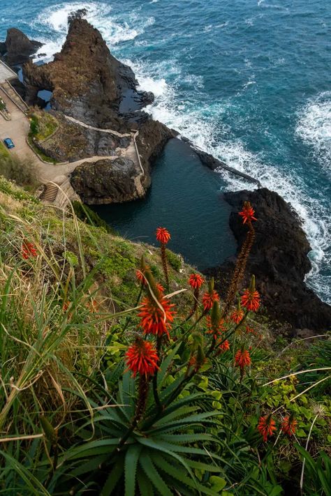 Seixal Natural Pools in Madeira: The Ultimate Guide - Something of Freedom Madeira Itinerary, Spring Travel Destinations, Beautiful Pools, Spring Trip, Beautiful Places On Earth, Funchal, Natural Pool, Fall Travel, Portugal Travel