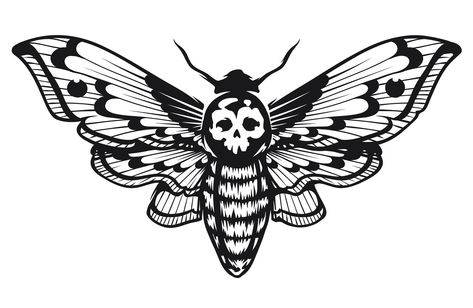 Moth Drawing, Deaths Head, Hawk Moth, Moth, Black And White, White, Black