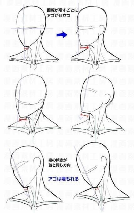 얼굴 드로잉, Drawing Tutorial Face, Berry Farm, Body Drawing Tutorial, Face Drawing Reference, Manga Drawing Tutorials, 얼굴 그리기, Drawing Heads, Drawing Faces