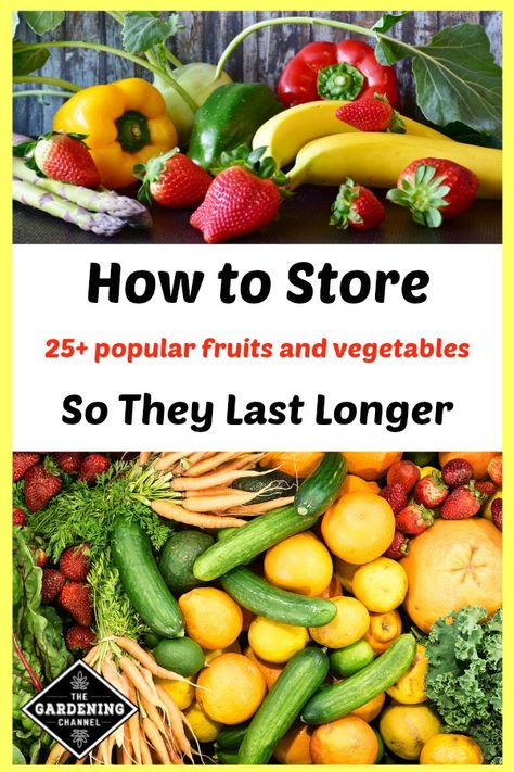 Read these pro tips on storing 25 plus popular fruits and vegetables so you can enjoy them long after the harvest. Fruit On Counter, Store Fruits And Vegetables, Store Vegetables, Storing Vegetables, Storing Fruit, Fruit And Vegetable Storage, Vegetable Storage, Food Info, How To Store