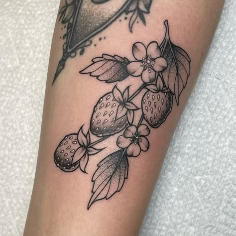 Strawberries by @skylersager 🍓 • • • #strawberrytattoo #fruittattoo #berrytattoo #stippledtattoo #stippling #stipplingtattoo… | Instagram Black And Grey Strawberry Tattoo, Strawberry Hip Tattoo, Strawberry Bush Tattoo, Purgatory Tattoo, Berry Tattoos, Strawberries Tattoo, Strawberry Vine Tattoo, Stipple Tattoo, Strawberry Tattoos