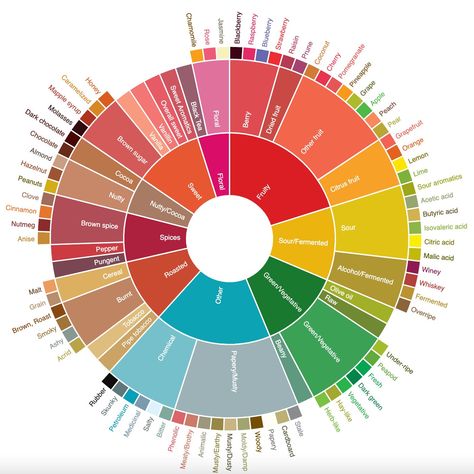 Flavor Wheel, Kopi Luwak Coffee, Coffee Knowledge, Costa Rican Coffee, French Press Cold Brew, Coffee Infographic, Mexican Coffee, Ethiopian Coffee, Brazilian Coffee