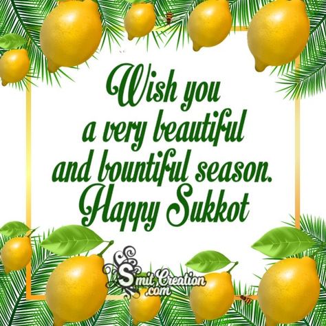 Visit site for more Sukkot Greetings Pictures Happy Sukkot Images, Happy Sukkot, Leviticus 23, September Holidays, Good Shabbos, Good Times Quotes, Feasts Of The Lord, Happy Feast, Feast Of Tabernacles