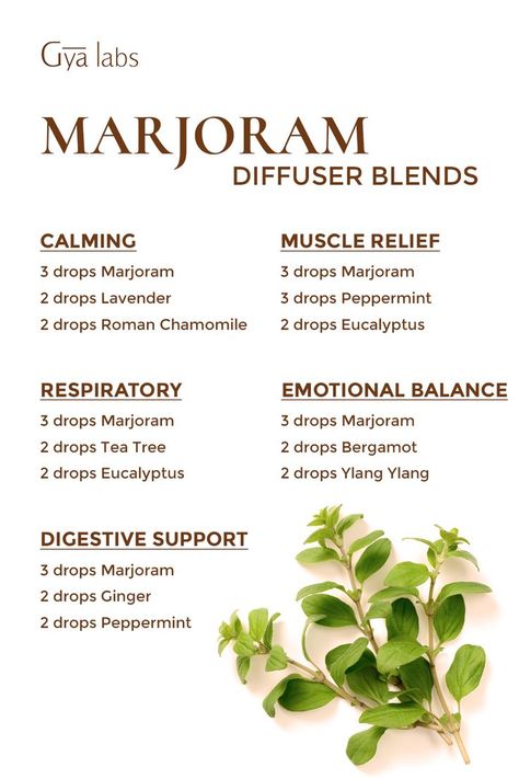 A captivating Pinterest post featuring various marjoram essential oil blends, promoting serenity and relaxation. A beautiful blend of marjoram leaves, aromatherapy, and peacefulness. 🌿✨
#GyaLabs #Marjoram #MarjoramEssentialOil #MarjoramLeafs #Oils #EssentialsOils #Aroma #Diffuser #Blends #Beauty #Cosmetic #Aromatheraphy #Relaxation #Diffuserblends #Essentialoilblends Magick Oil, Massage Oil Blends, Essential Oil Roller Bottle Recipes, Scent Blends, Marjoram Essential Oil, Relaxing Essential Oils, Fragrance Oil Blends, Calming Essential Oils, Essential Oil Diffuser Blends Recipes