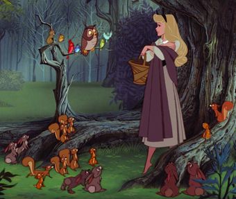 Forest Animals (Sleeping Beauty) - Disney Wiki In The Forest, Forest Animals, The Princess, Feature Film, The Forest, Sleeping Beauty, Aurora, Forest, Human