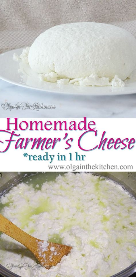 Homemade Farmer's Cheese: A 2-ingredient easy homemade farmer's cheese recipe ready in an hour to create delicious meals. |olgainthekitchen.com Raw Cottage Cheese, Farmers Recipes, Farmers Cheese Recipes, Homemade Cottage Cheese, Cheese Recipes Homemade, Farmer’s Cheese, Cheese Making Recipes, Farm Cheese, Goat Milk Recipes