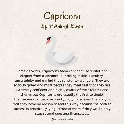 Capricorn Spirit Animal, Capricorn Mood, Capricorn Daily Horoscope, Capricorn Sun, Capricorn Aesthetic, Capricorn Art, Capricorn Rising, Astrology Capricorn, Capricorn Girl