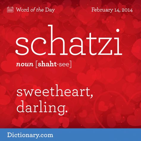 Happy Valentine's Day! Click to read the full definition. #dictionarycom #wotd #wordoftheday #schatzi #words German Slang, Unique Words Definitions, Uncommon Words, Interesting English Words, Weird Words, Good Vocabulary Words, Unusual Words, Good Vocabulary, Rare Words