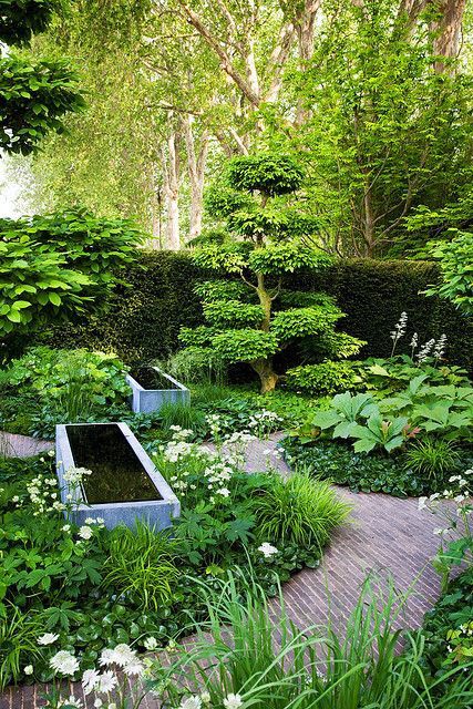 Tom Stuart Smith Gardens, Condo Inspiration, Tom Stuart Smith, Contemporary Gardens, Shade Landscaping, Garden Inspo, Cottage Garden Plants, Garden Designer, Have Inspiration