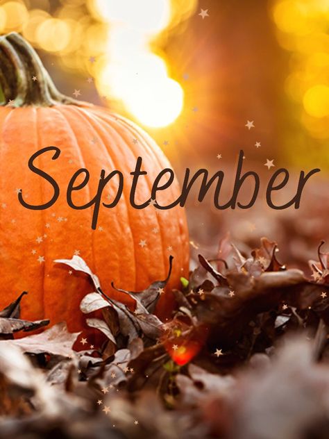 September Season Photo
Hello September season
Fall Photo
Hello September
Seasonal 
Greetings 
Fall Aesthetic
Autumn day
Autumn Activities
Fall fun
Photos September Pictures Fall, Hello September Chapter 9 Of 12, Hello Autumn Aesthetic, Hello September Aesthetic, September Photos, September Season, Hello September Images, September Hello, September Vibes