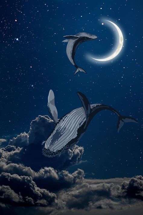 Sky Whale Drawing, Whales In The Sky Art, Humpback Whale Aesthetic, Whales In Space, Space Whale Wallpaper, Sky Whale Art, Humpback Whale Wallpaper, Whale In Clouds, Whale In Sky