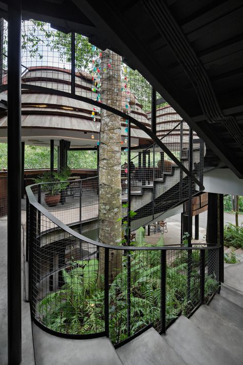 Eco Resort Architecture, Tropical Houses Architecture, Art Galleries Design, Wood Images, Community Space, Global Design, Brutalism, Ubud, Building Design