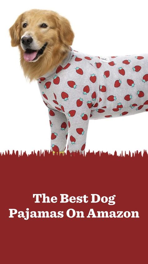 If you’re looking for a great set of dog pajamas, look no further than these sets from Amazon. Chilly Dogs, Dog Pajamas, Pet Parent, Big Dogs, Fun Prints, Pitbull, Pet Owners, Dog Clothes, Small Dogs