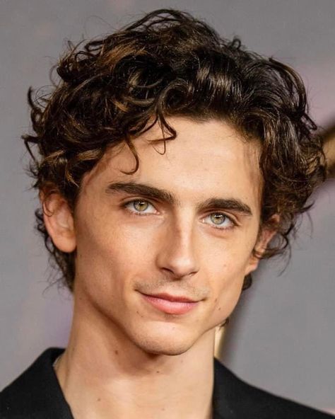 Medium Curly, Medium Curly Hair Styles, Corte De Cabelo Masculino, Christopher Nolan, Curly Hair Men, Meryl Streep, Most Handsome Men, Timothee Chalamet, Boy Hairstyles