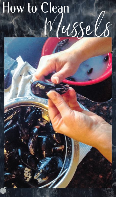 How to clean and prepare mussels with step by step instructions. Mussels Recipe White Wine, How To Clean Mussels, Cooking Cheat Sheet, Dip Recipes Appetizers, Mussels Recipe, Clam Recipes, Blogger Photos, Fast Easy Meals, Dinner Appetizers