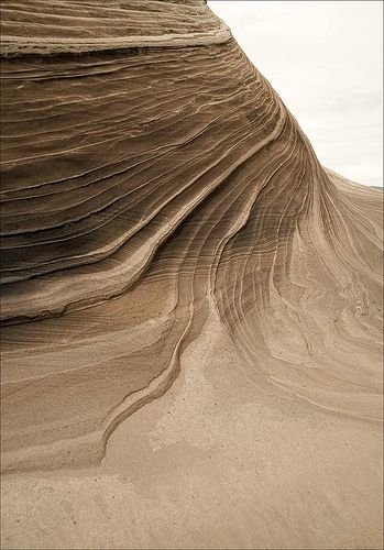 20070218 Coyote Buttes North, Paria Canyon-Vermillion Cliffs Wilderness, Arizona… Natural Design Elements, Moodboard Nature Inspiration, Texture In Nature, Aesthetic Textures, Elements Aesthetic, Raw Aesthetic, Neutral Vibes, Coyote Buttes, Paria Canyon