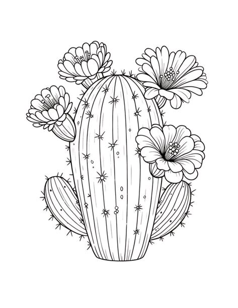 Cactus Drawings, Cactus Outline, Flower Coloring Pages For Kids, Coloring Pages Spring, Sunflower Coloring, Flower Coloring Sheets, Sunflower Coloring Pages, Printable Flower Coloring Pages, Cactus Drawing