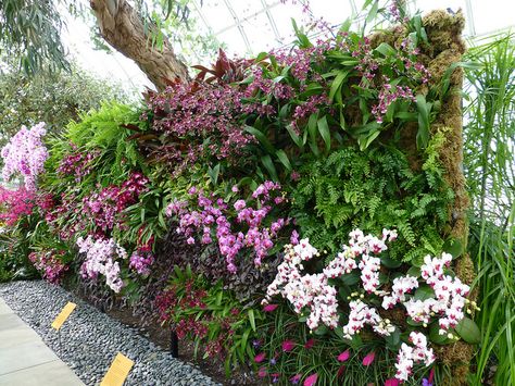 Orchid Show - Vertical Garden Wall 3 - Pansy Orchids | Flickr - Photo Sharing! Vertical Facade, Orchid Display, Vertical Green Wall, Orchid Wall, Vertikal Garden, Orchid House, Vertical Garden Design, Japanese Zen Garden, Orchid Show