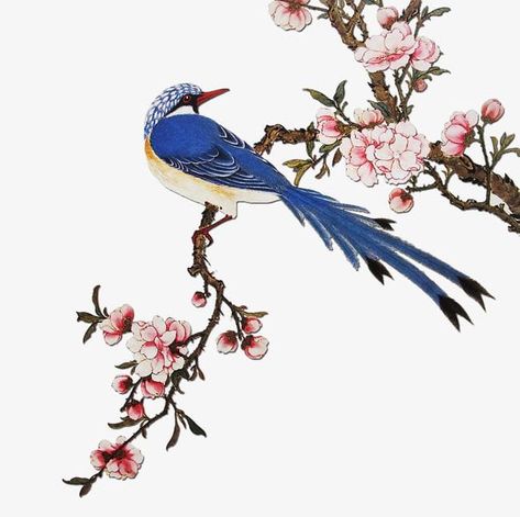 Chinese Flowers, Chinese Flower, Bird Clipart, Png Background, Hand Embroidery Kits, Bird Canvas, Time Painting, Lukisan Cat Air, China Art