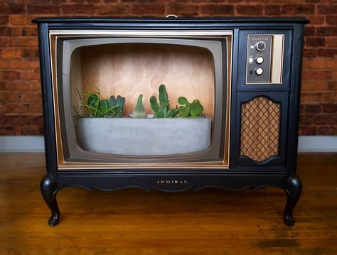 Tv Terrarium, Cacti Terrarium, Tv Wand, Vintage Tv, Retro Tv, Diy Vintage, Old Tv, Flipping Furniture, Repurposed Furniture