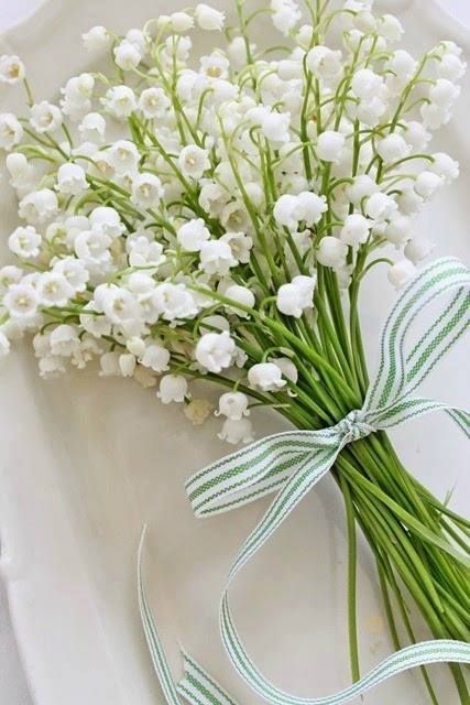 Vibeke Design, Bouquet Of Flowers, Arte Floral, Beautiful Blooms, Lily Of The Valley, Love Flowers, Cut Flowers, My Flower, The Valley