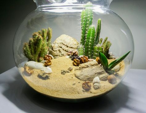 Fake Plant Terrarium, Terrarium Fake Plants, Dessert Terrarium, Sand Creations, Unique Terrarium, Cactus Terrarium, Jungle Plants, Diy Succulent Terrarium, Terrarium Ideas