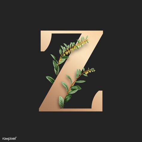 Botanical capital letter Z illustration | premium image by rawpixel.com / Aum / Donlaya / Kappy Kappy / manotang Z A Logo Design, Z Wallpaper Letter, Z Letter Design, Z Wallpaper Letter Iphone, Wallpaper Letter Aesthetic, Z Wallpaper Letter Aesthetic, Botanical Capital Letter, Letter Aesthetic, Wallpaper Letter