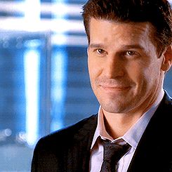 bel Agent Booth, Booth Bones, Bones Cast, David Boreanaz Angel, Bones Memes, Bones Quotes, Bones Series, Seeley Booth, Booth And Bones