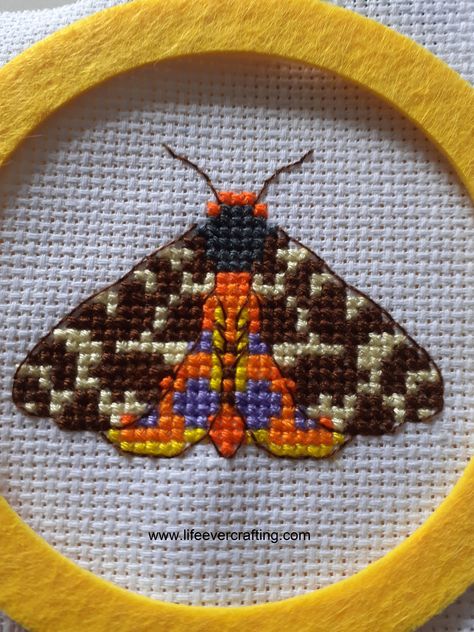 A cross-stitched tiger moth in a yellow frame Cross Stitch Moth Pattern, Perler Bead Moth, Cross Stitch Butterfly Pattern, Moth Cross Stitch, Tiger Moth, Xstitch Patterns, Easy Cross Stitch Patterns, Butterfly Cross Stitch, Beaded Cross Stitch