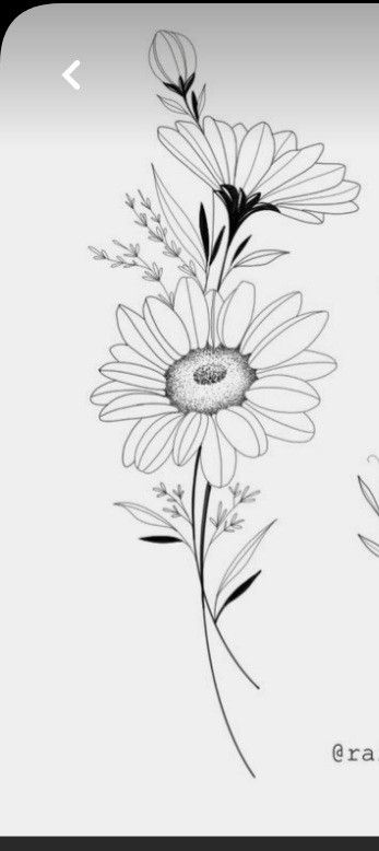 Vintage Flower Tattoo Black And White, Sunflower And Daisy Tattoo, Gerber Daisy Tattoo, Gerbera Daisy Tattoo, Tableau Relief, Marguerite Flower, Tattoo Stencil Designs, Daisy Tattoo Designs, Vintage Flower Tattoo